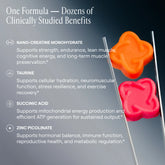 Arq8 Creatine Monohydrate Gummies, photo 24